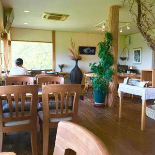 オープンガーデンカフェレストラン ビブラ ビブレの写真13