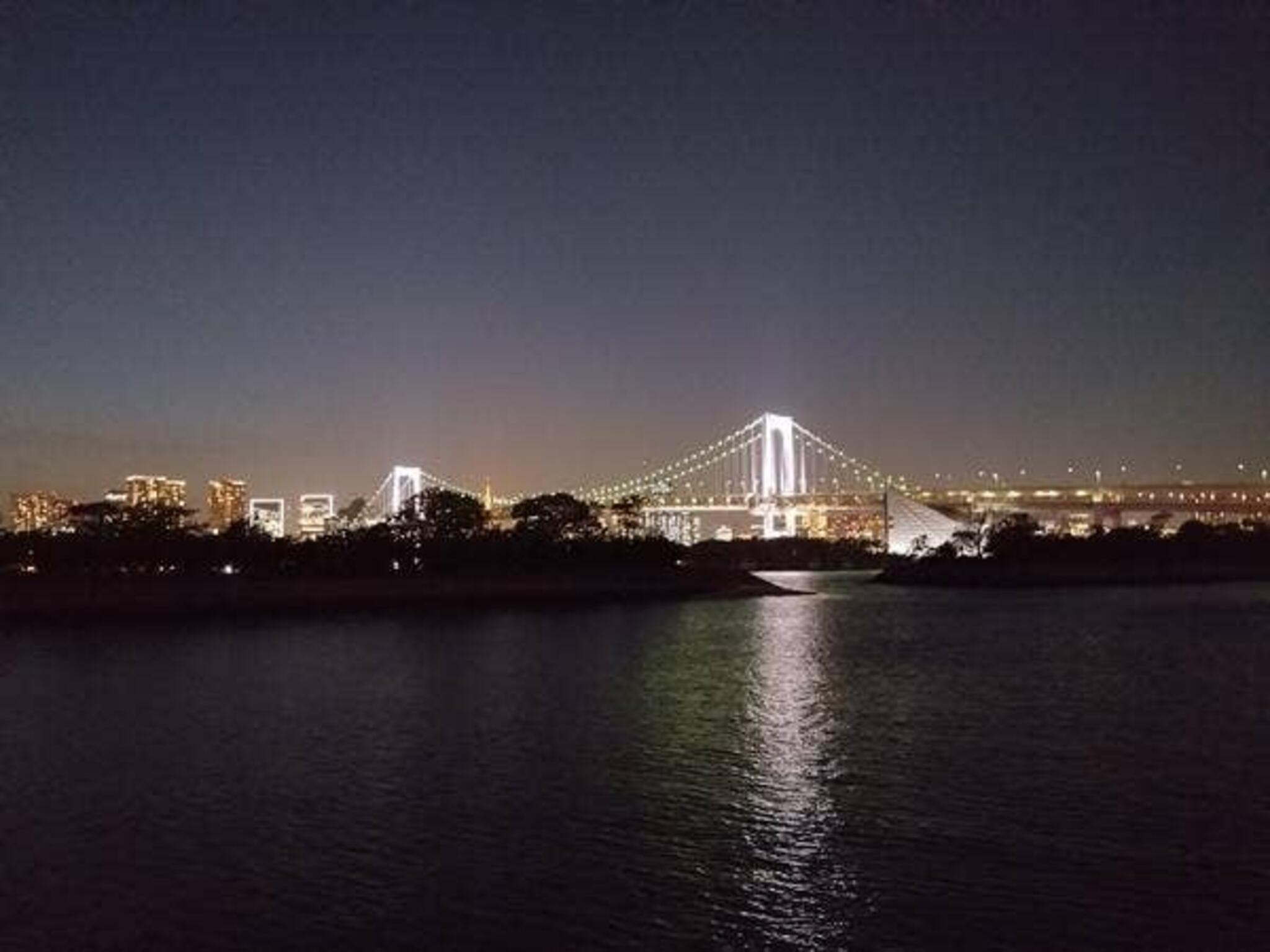 東京夜景 貸切宴会 屋形船 平井の代表写真2