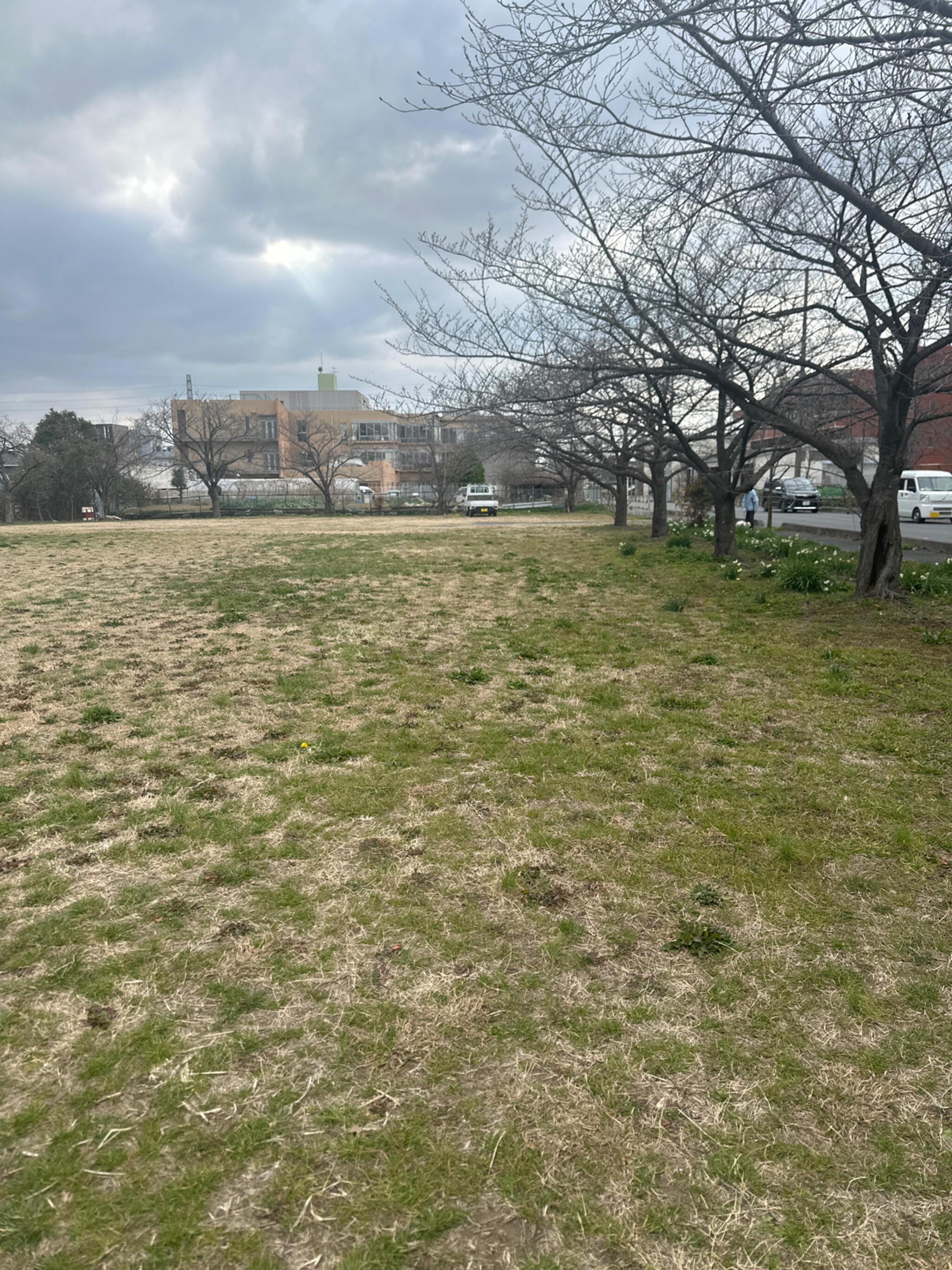 やしお生涯学習館みどりの広場の代表写真4