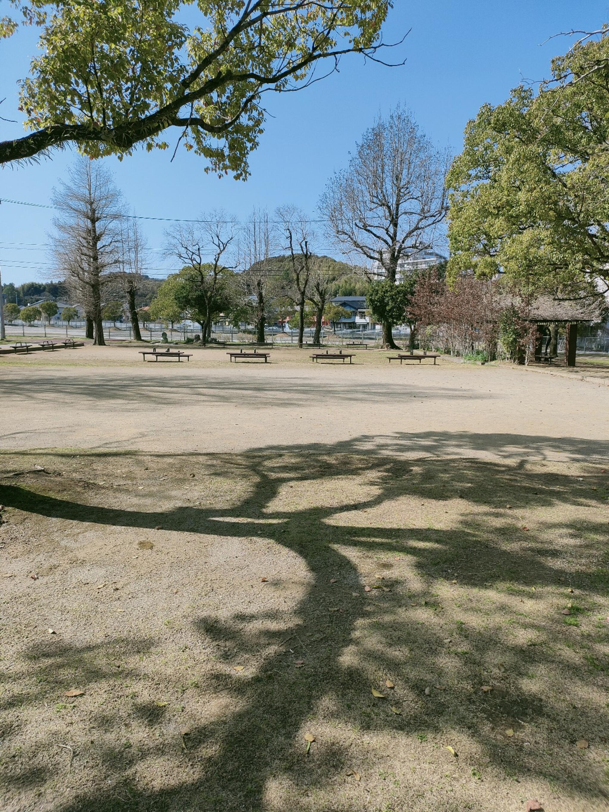 大谷公園の代表写真7