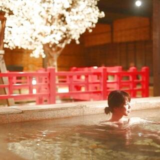 有馬温泉 太閤の湯の写真24