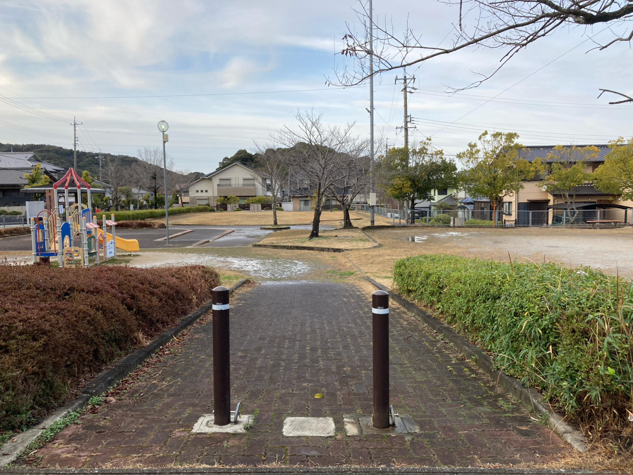 中央公園の代表写真4