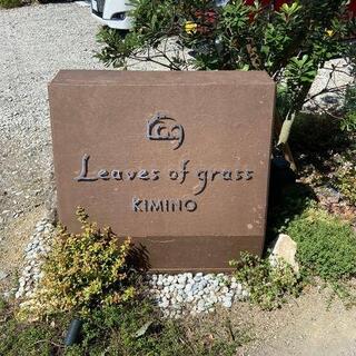 Leaves of grass KIMINOの写真12