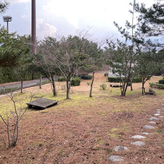 浜山公園林間こども広場の写真18