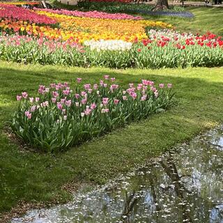 国営昭和記念公園の写真25