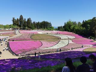 羊山公園のクチコミ写真1