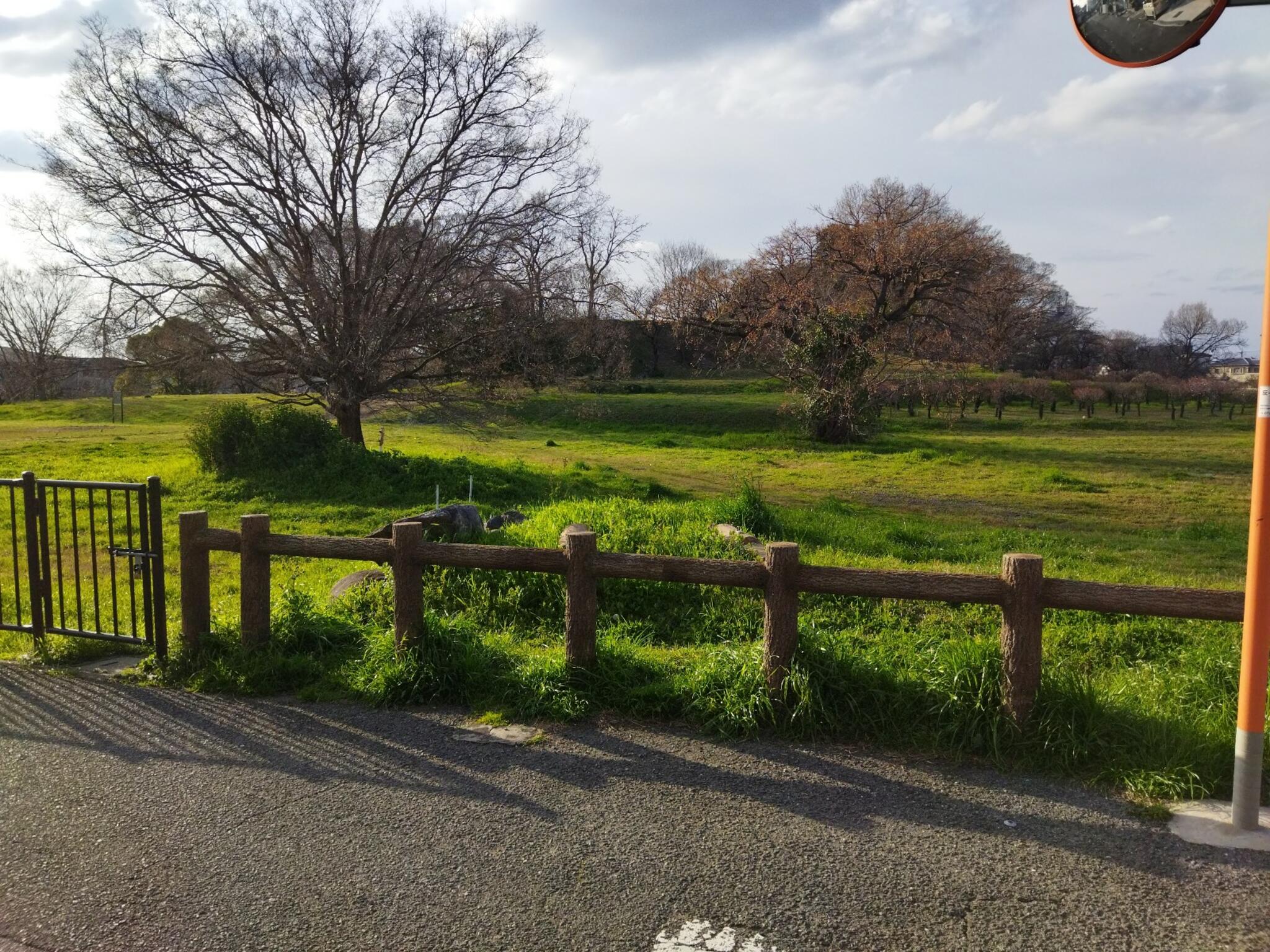 城山古墳史跡公園周濠花菖蒲園の代表写真1