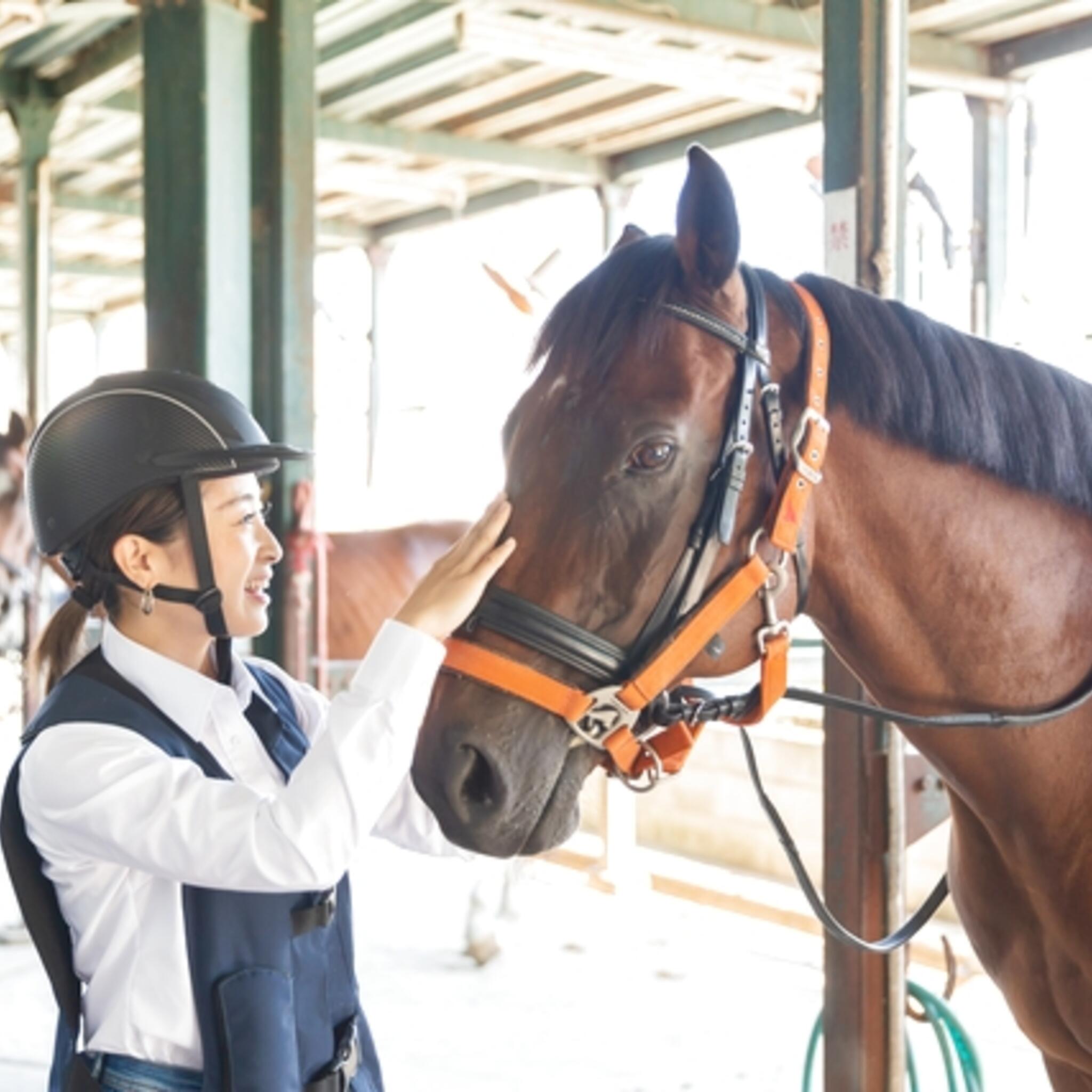 クチコミ : 両備乗馬クラブ・クレイン岡山 - 岡山市東区寺山/乗馬教室 | Yahoo!マップ