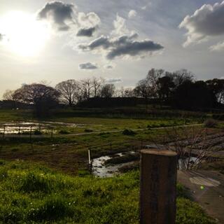 城山古墳史跡公園周濠花菖蒲園の写真10