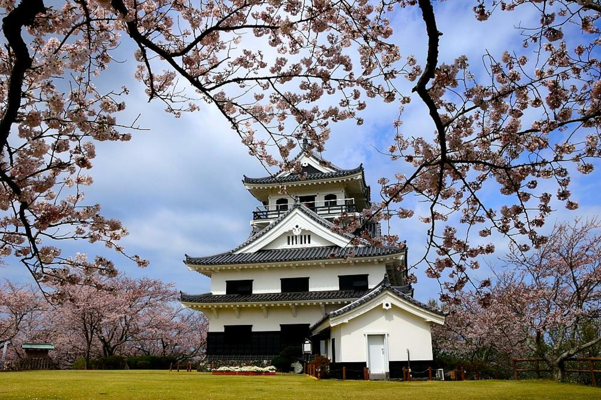 城山公園の代表写真6