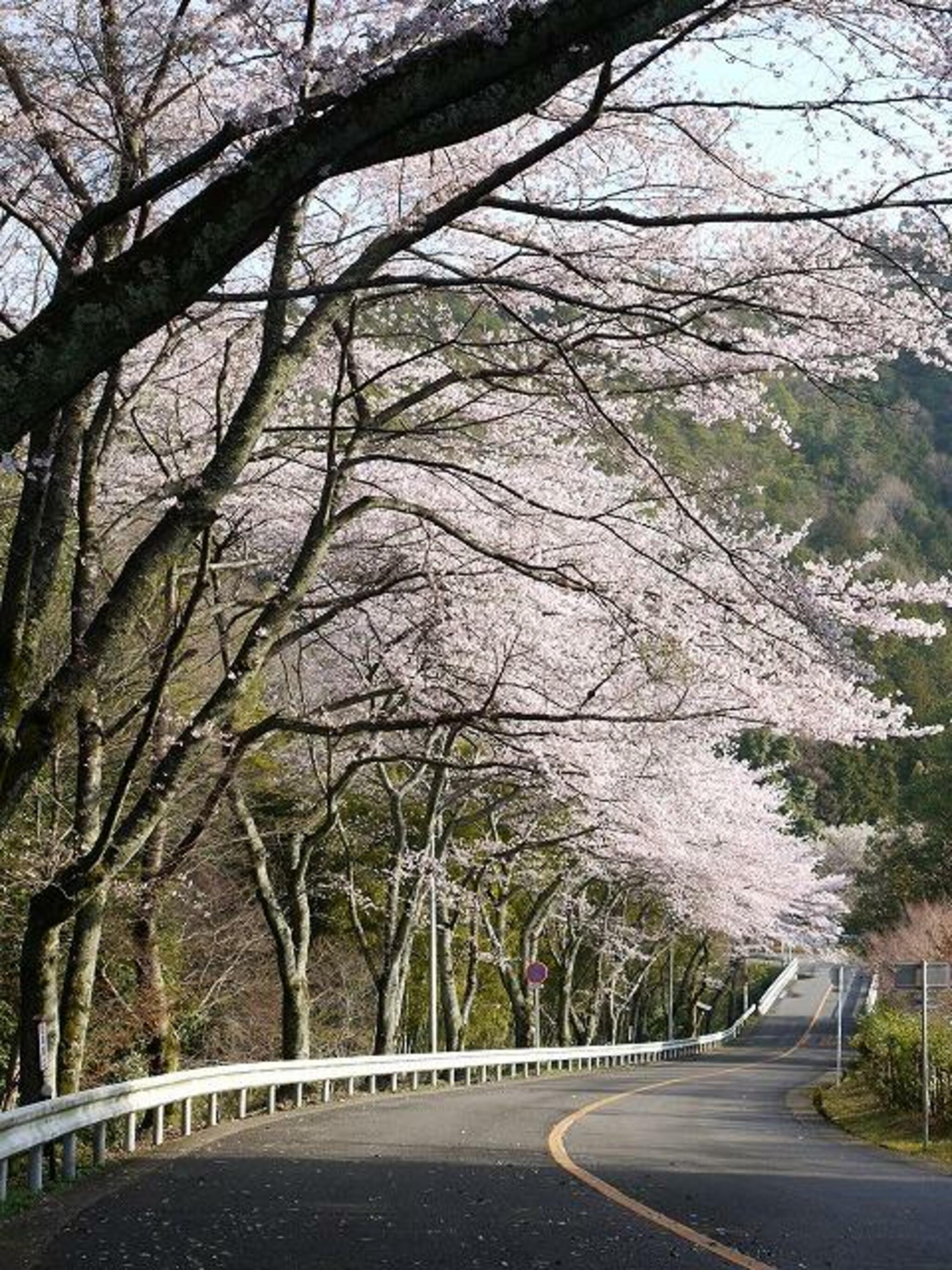 高雄・三尾一帯の代表写真3