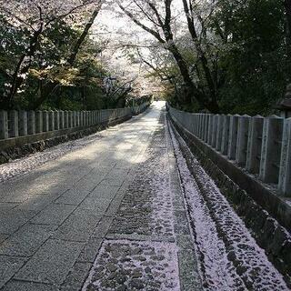 向日神社の写真3