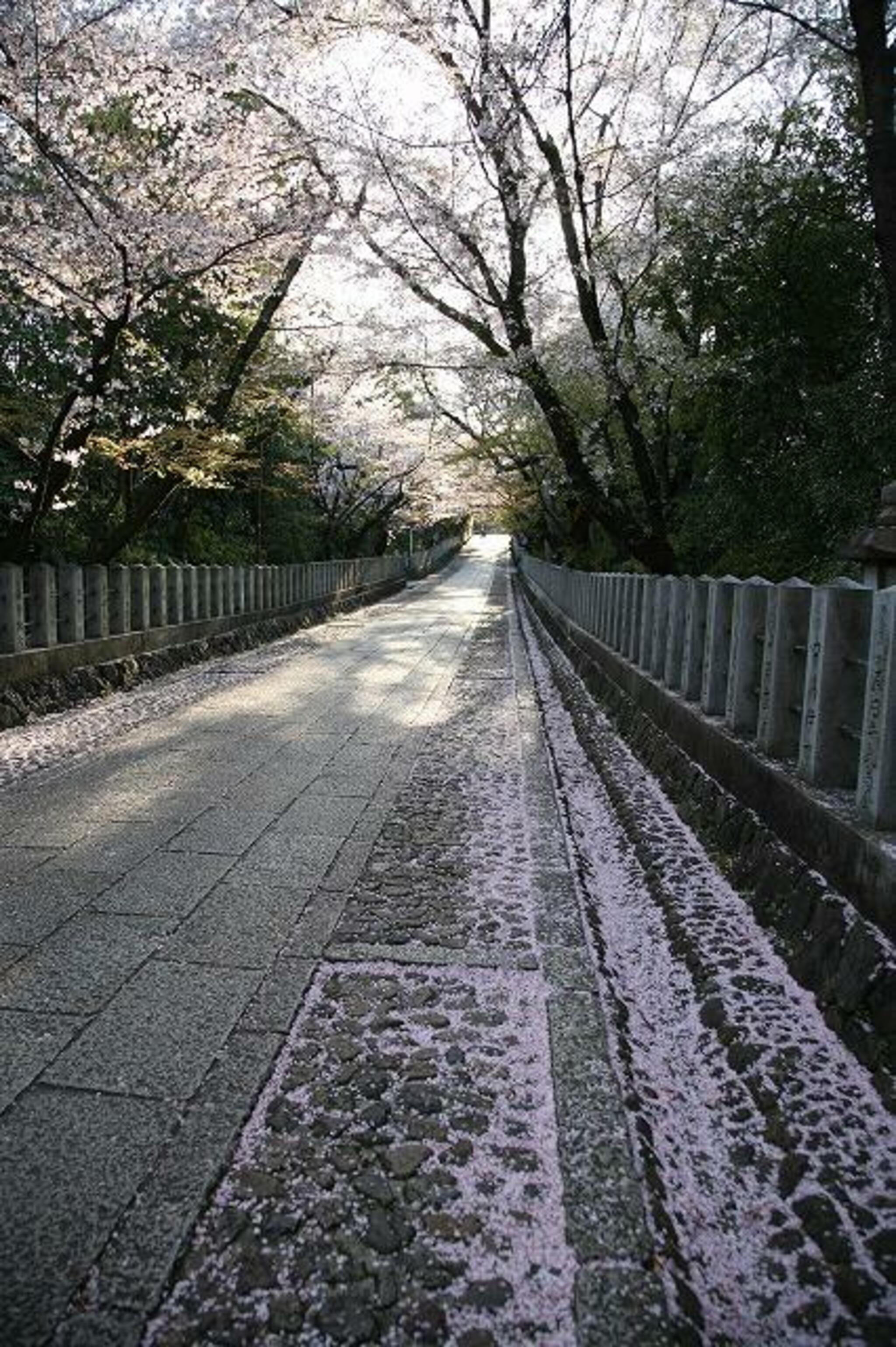 向日神社の代表写真3