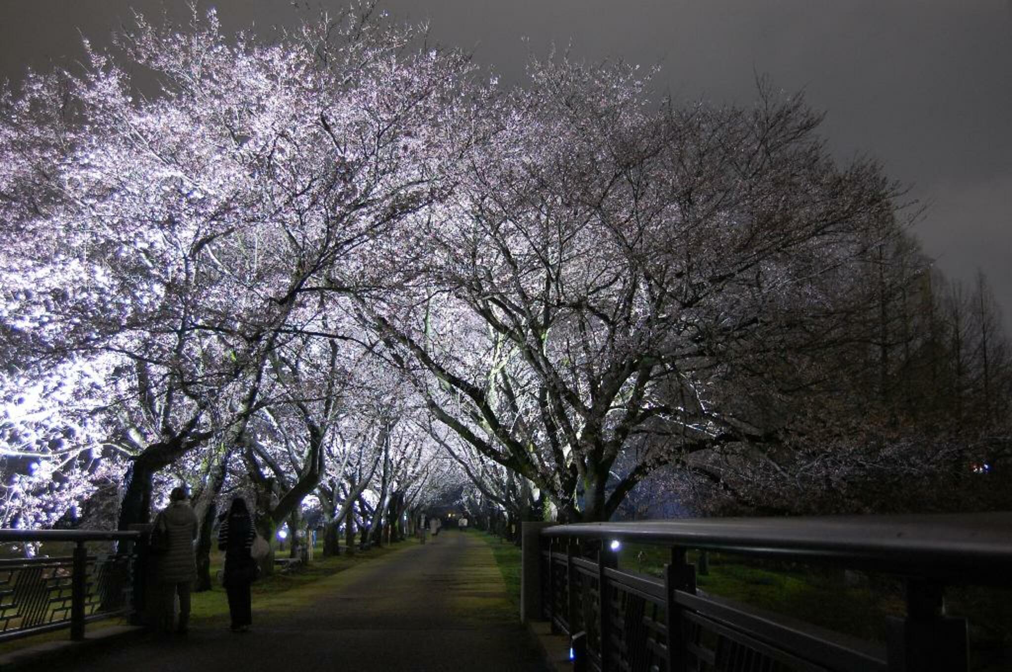 富山県中央植物園の代表写真8