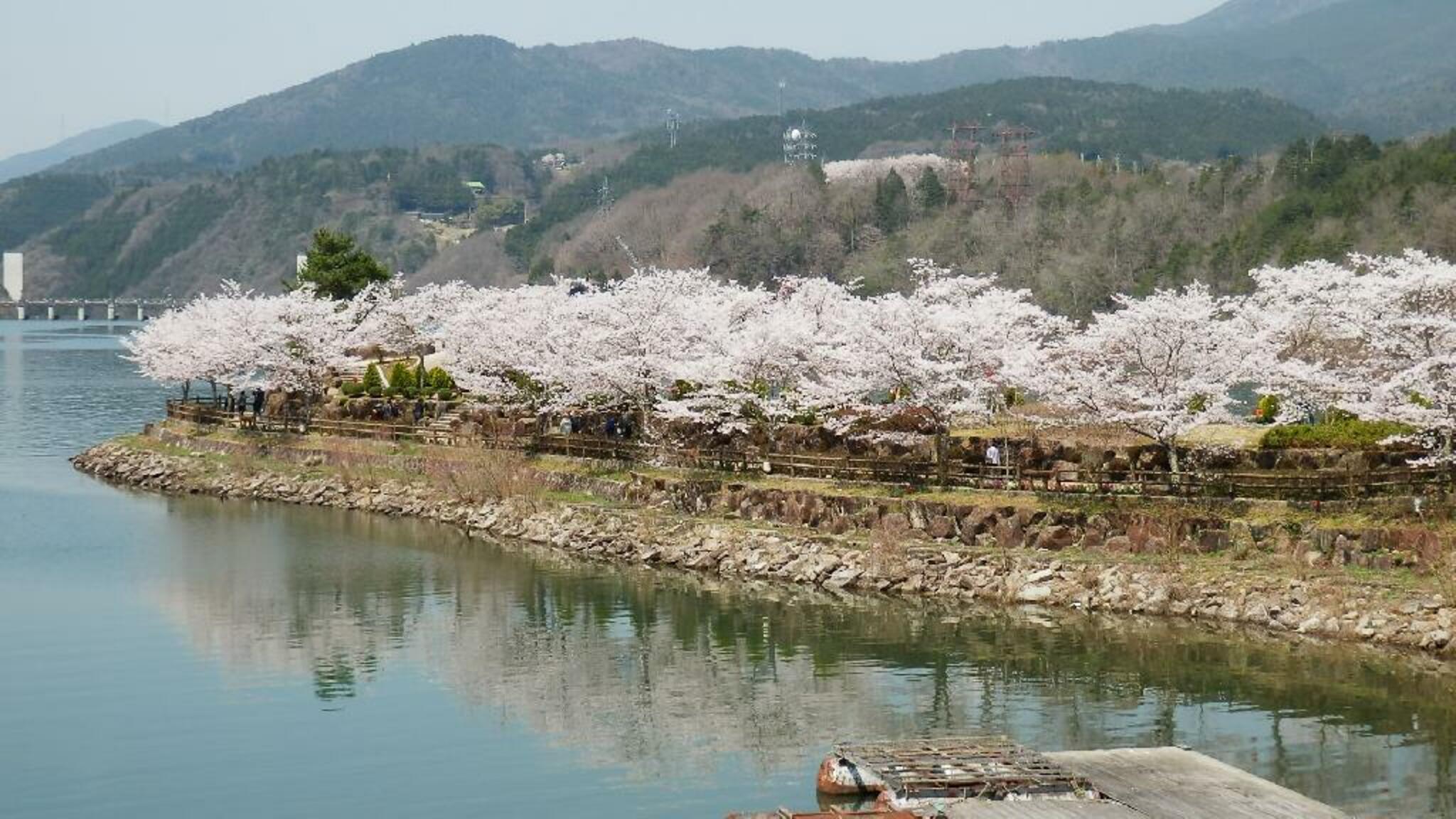 恵那峡の代表写真8