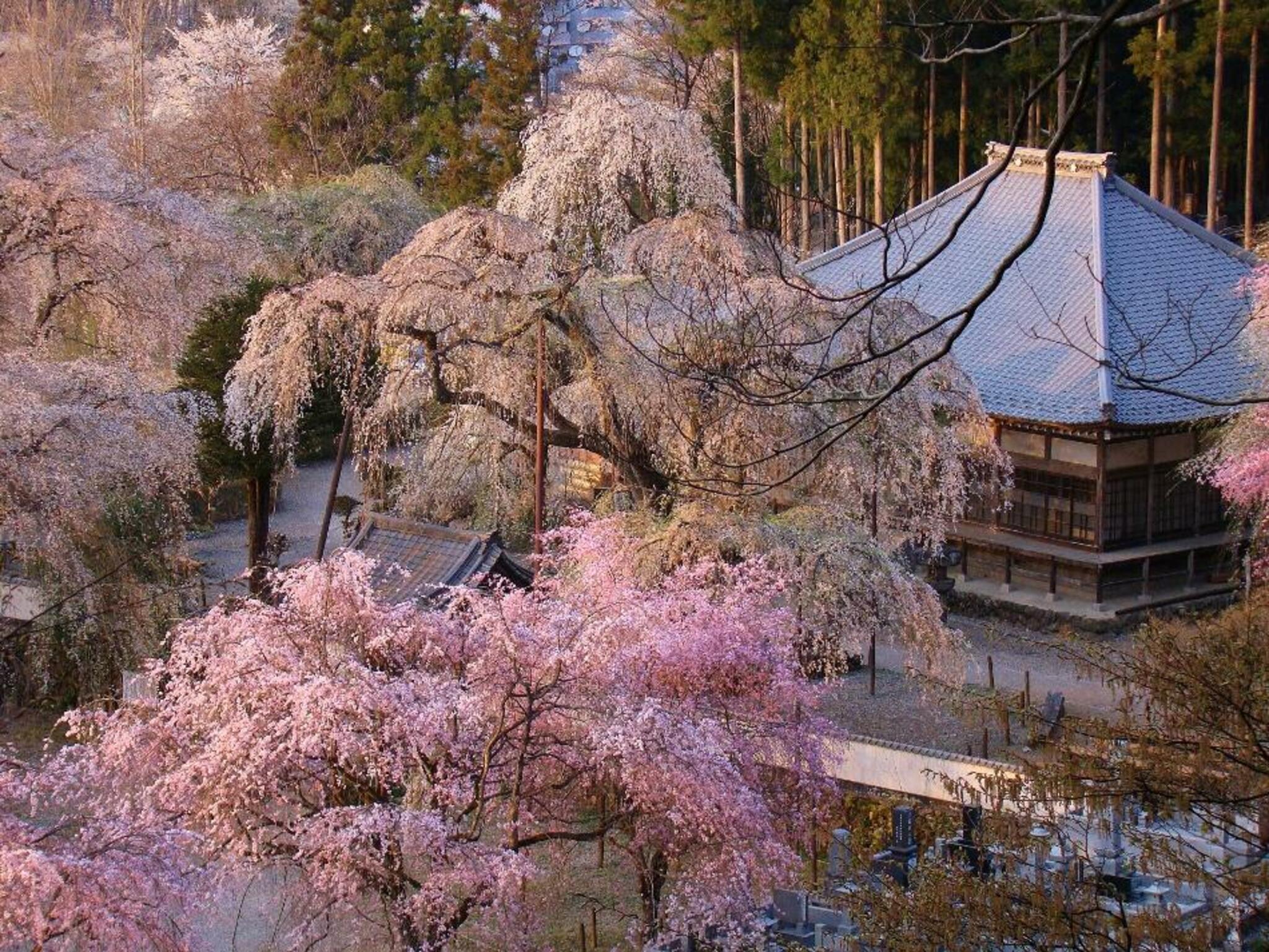 羊山公園の代表写真1