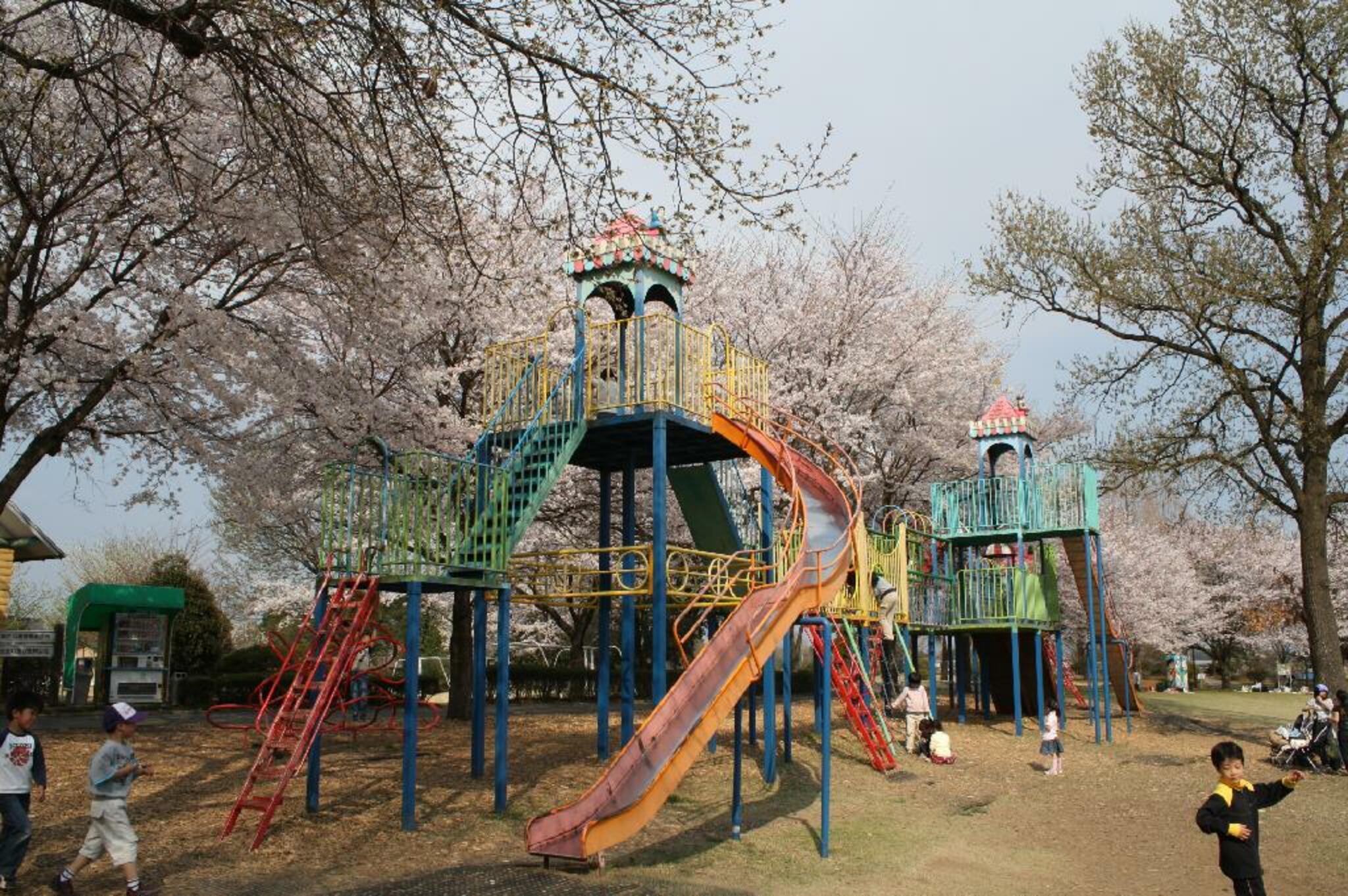 壬生町総合公園の代表写真3