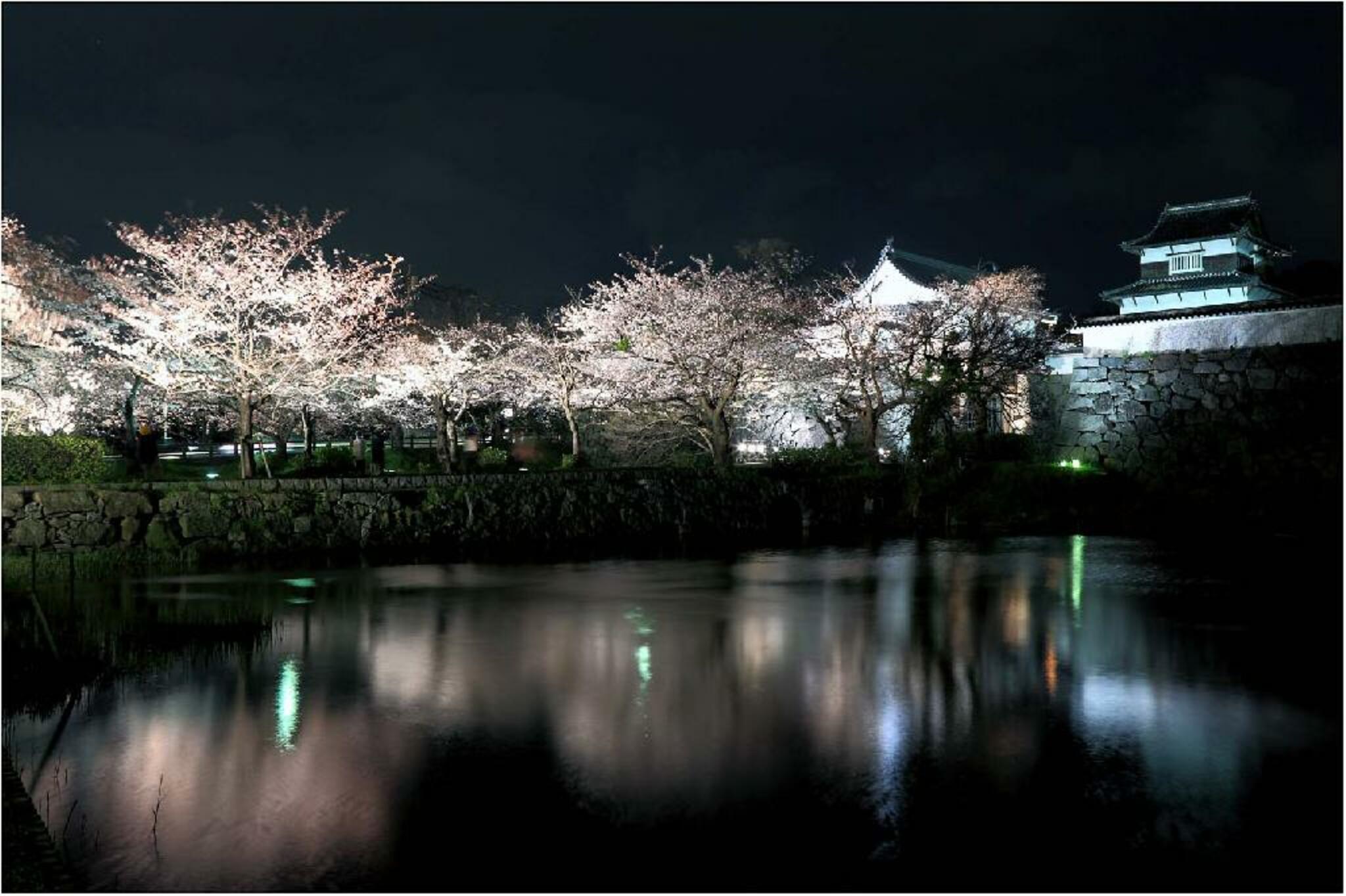 福岡城跡・舞鶴公園の代表写真2