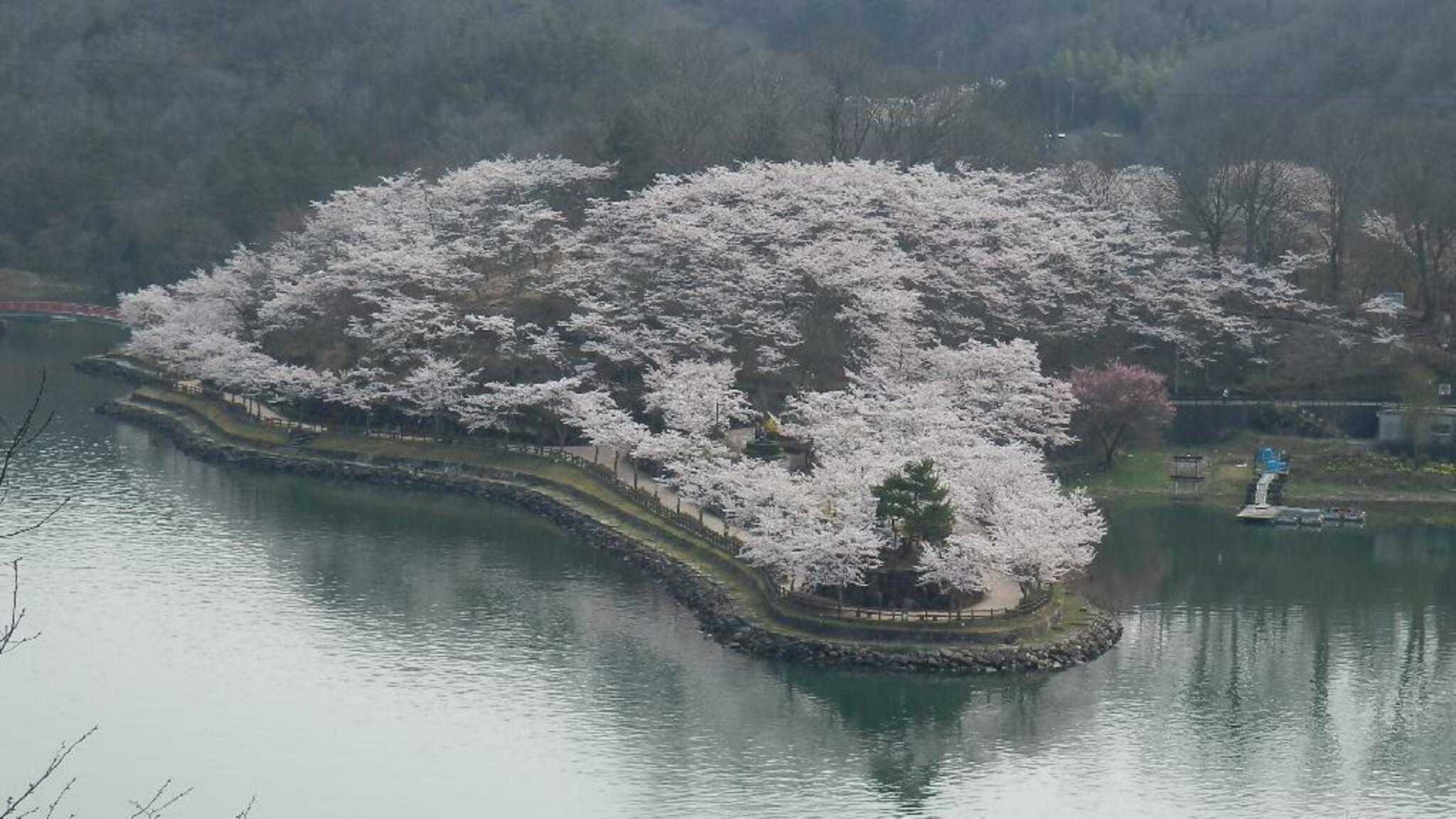 恵那峡の代表写真6