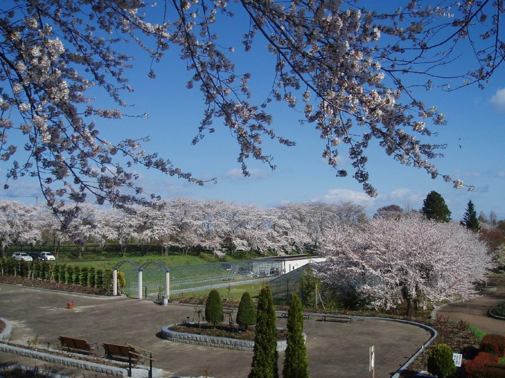 八戸公園(植物園)の代表写真2