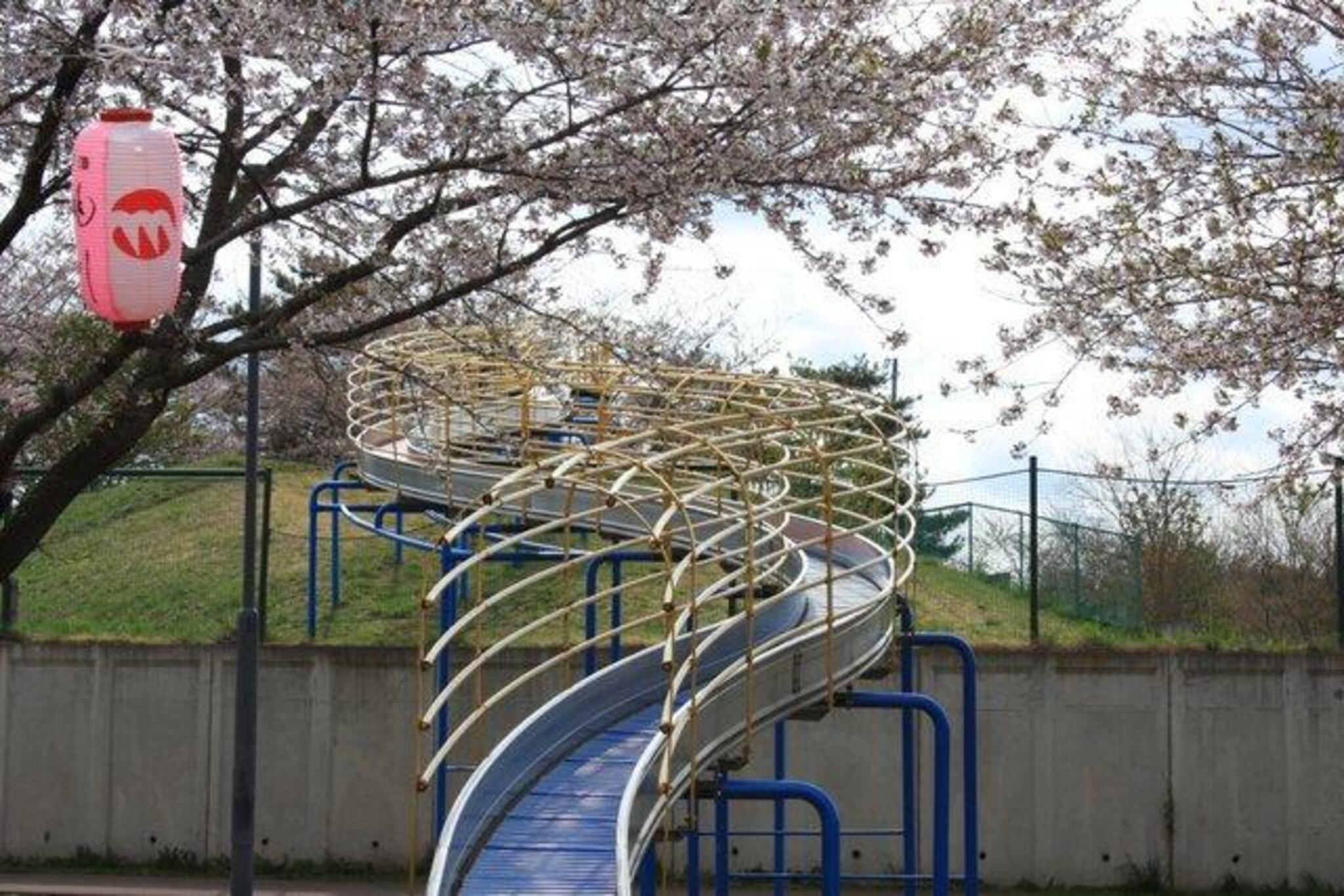 おいらせ町 いちょう公園体育館の代表写真7