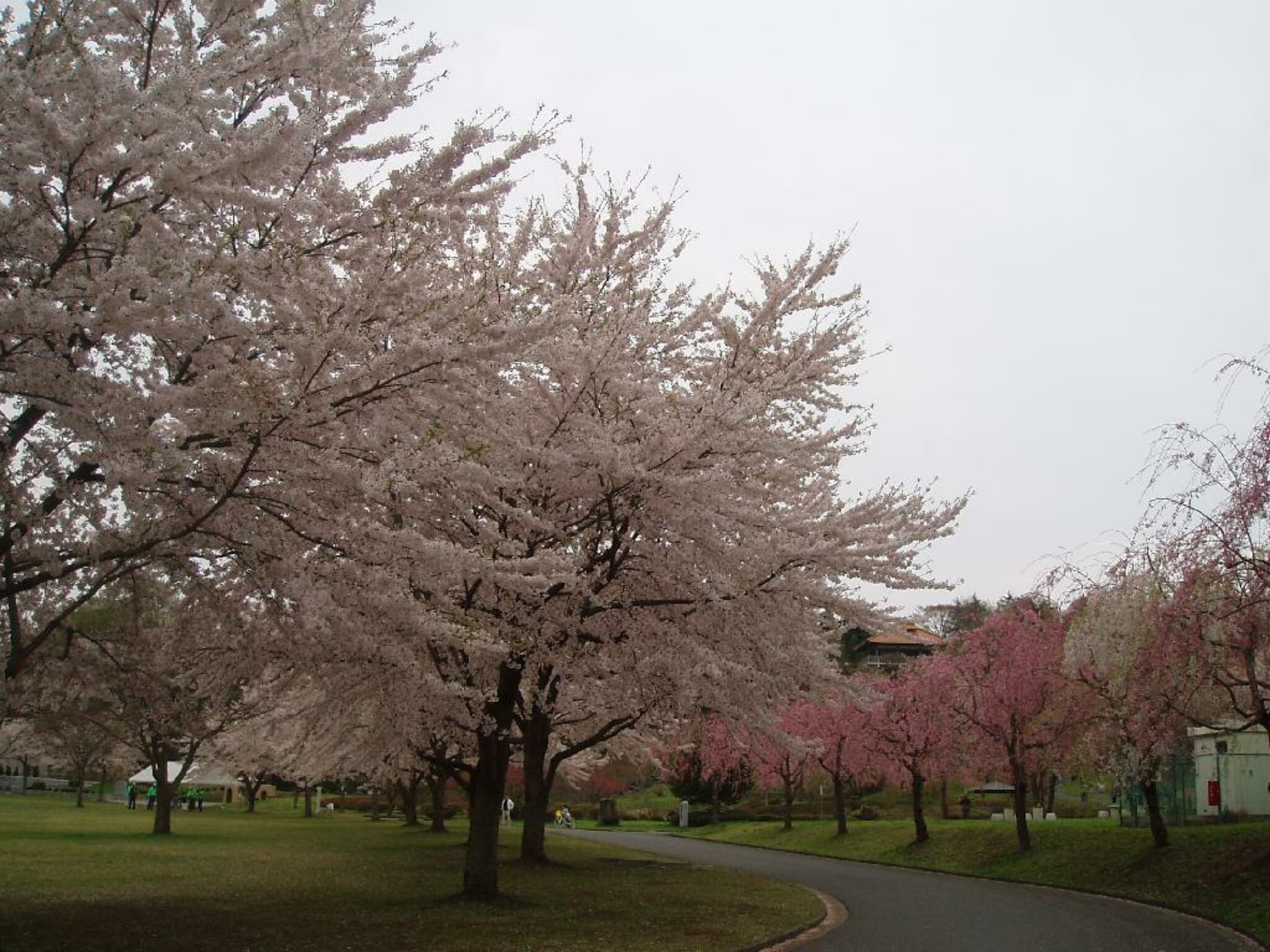 八戸公園(植物園)の代表写真3