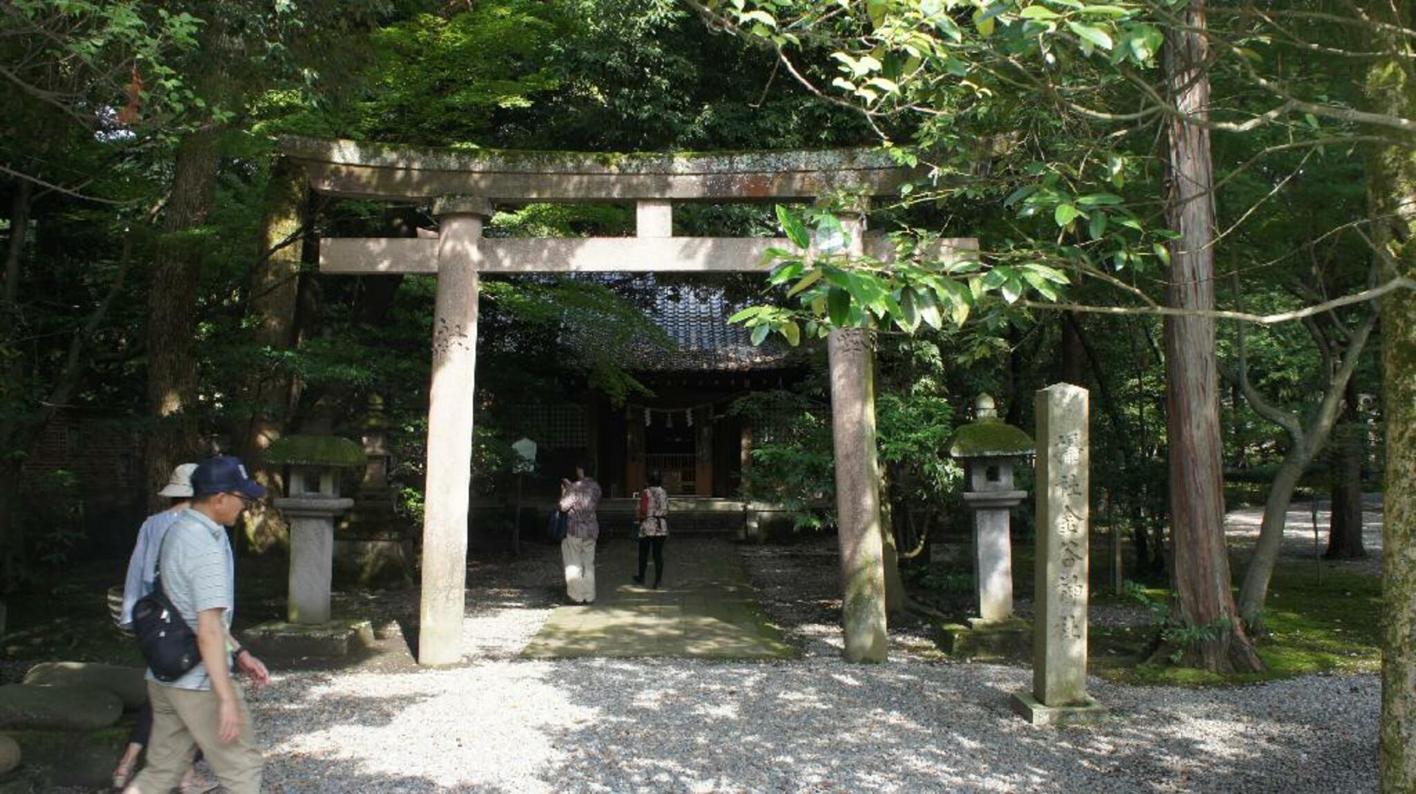 尾山神社 本殿の代表写真4