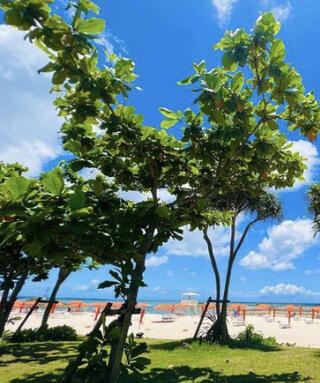 シェラトン沖縄サンマリーナリゾートのクチコミ写真1
