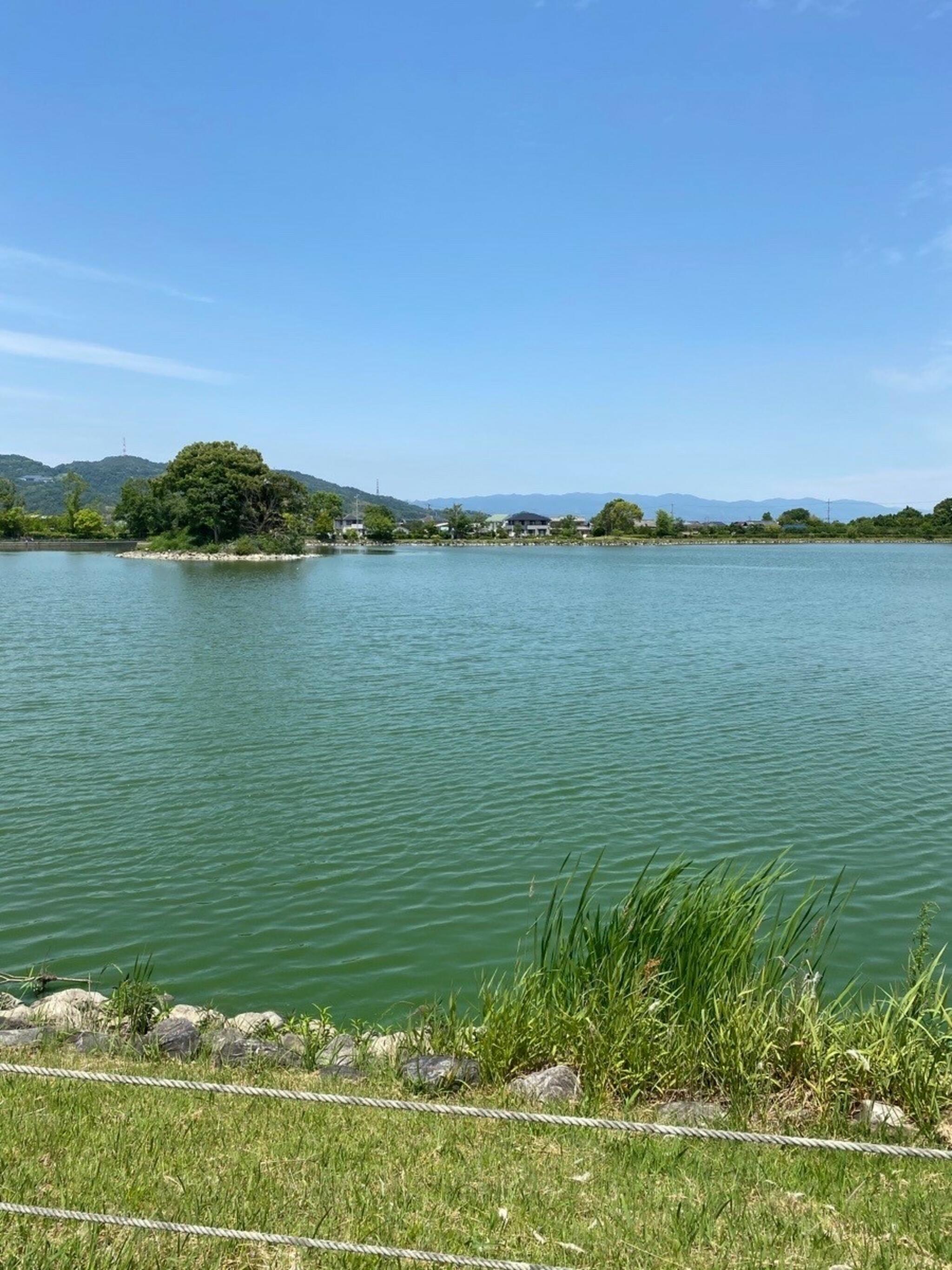平池緑地公園 - 紀の川市貴志川町神戸/公園 | Yahoo!マップ