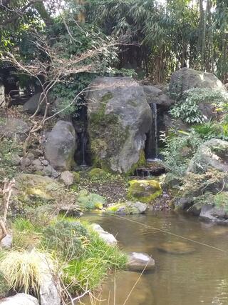 花畑大鷲神社のクチコミ写真5