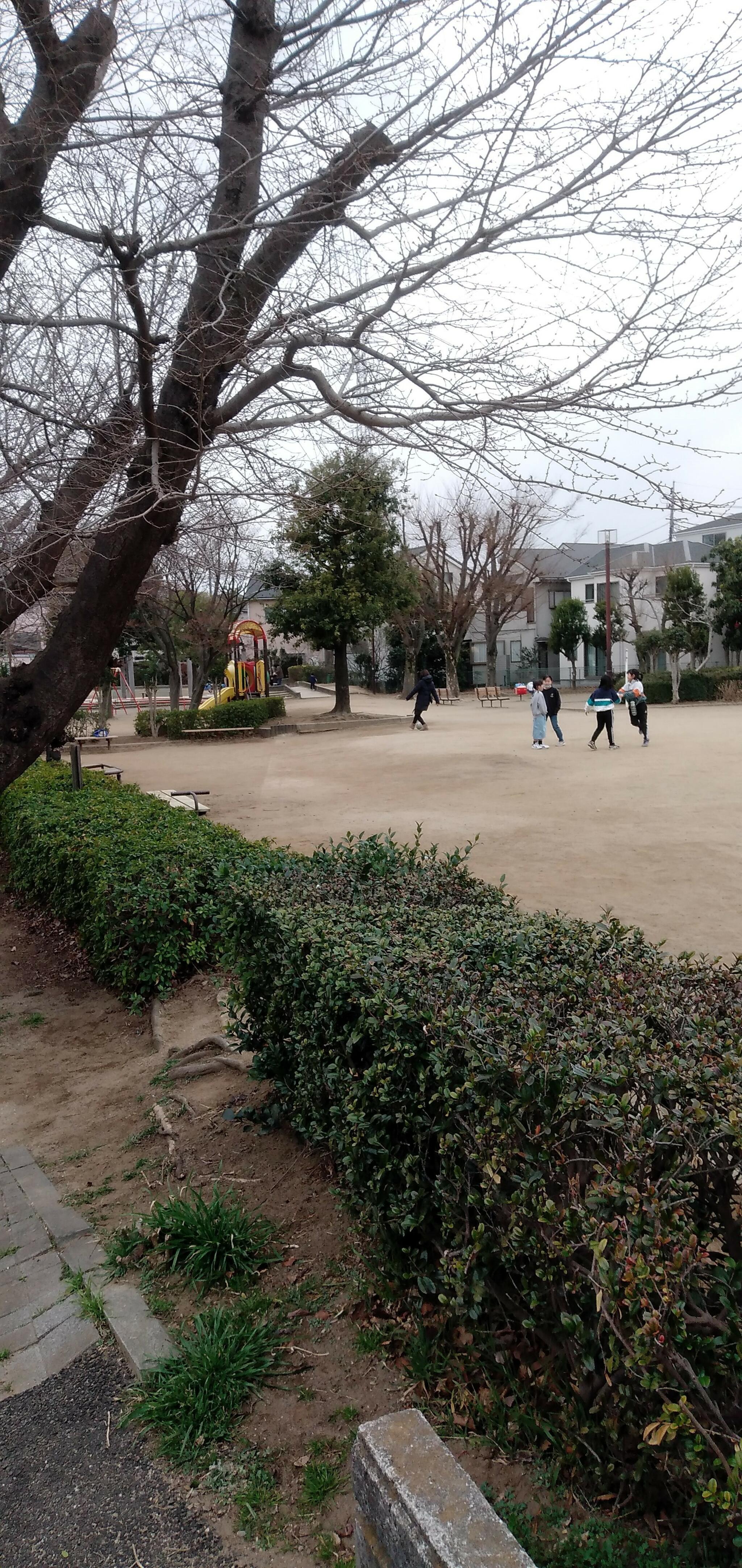 中丸公園(さいたま市緑区)の代表写真4