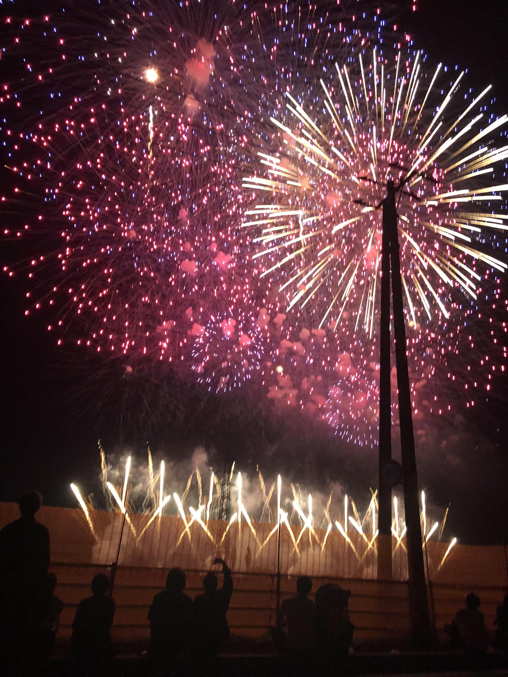 佐倉ふるさと広場の代表写真7