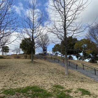 石川河川公園の写真9