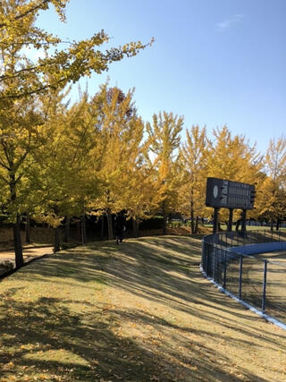 しらこばと運動公園野球場のクチコミ写真1