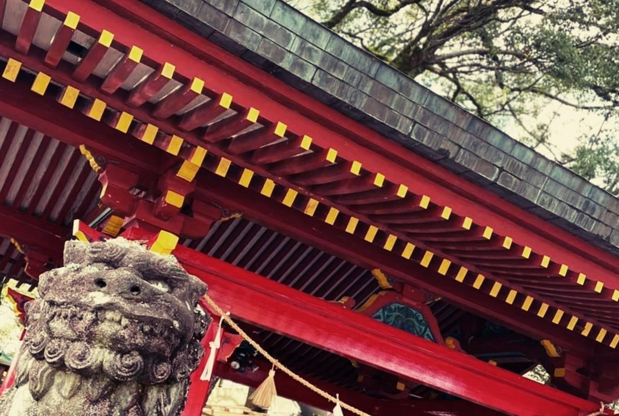 青井阿蘇神社の代表写真3