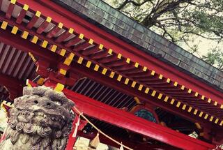 青井阿蘇神社のクチコミ写真1