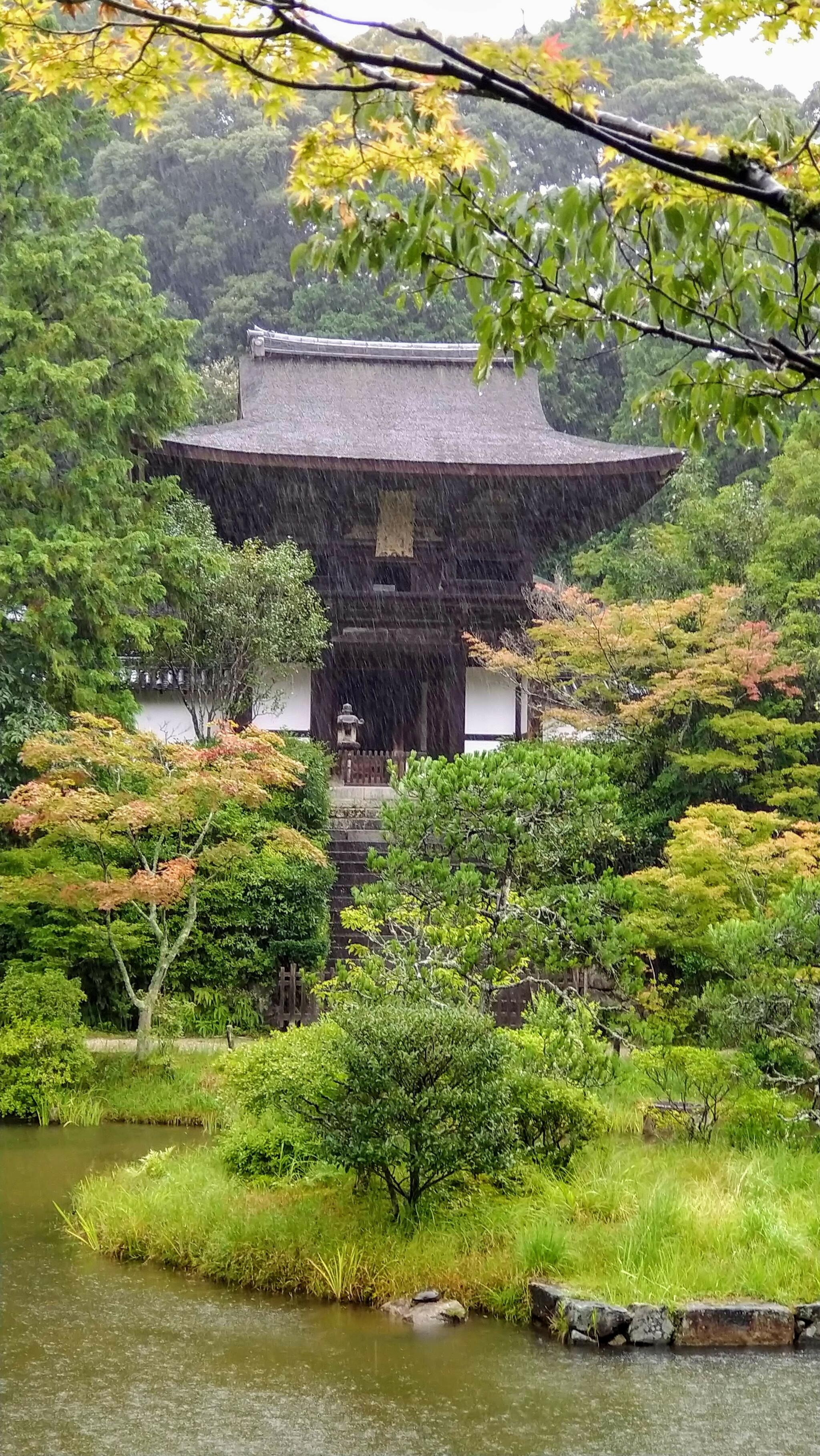 円成寺の代表写真6