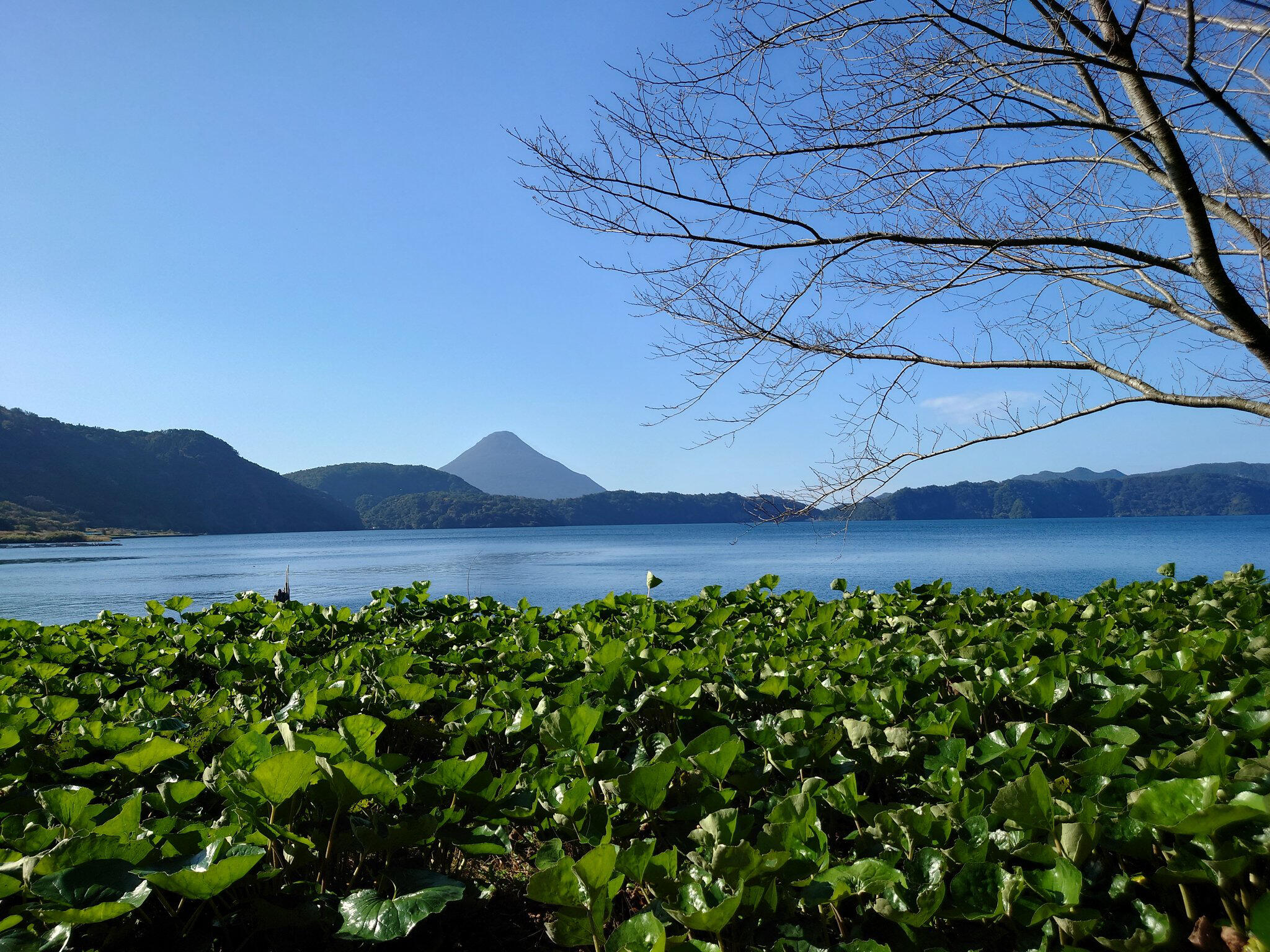 池田湖の代表写真5