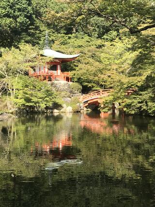 醍醐寺のクチコミ写真2