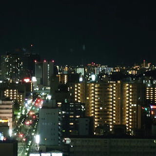 ホテル アゴーラ リージェンシー 大阪堺の写真30