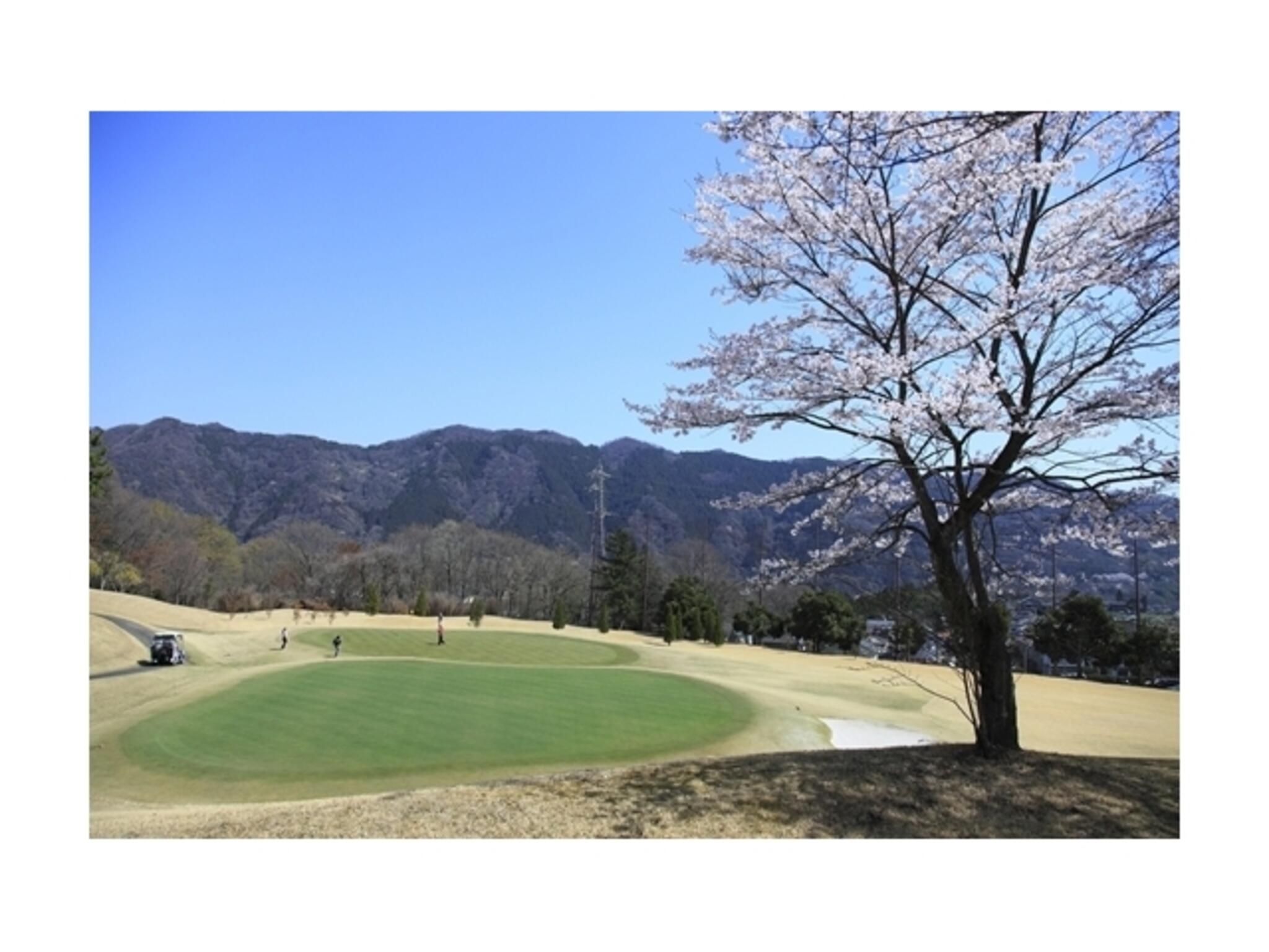 津久井湖ゴルフ倶楽部の代表写真6