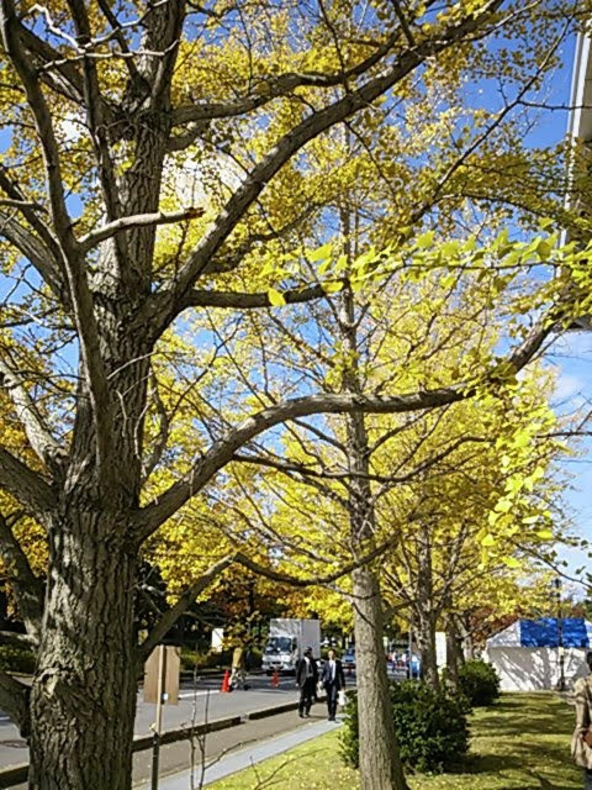 弘前市運動公園の代表写真3