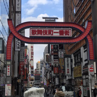 歌舞伎町一番街の写真1