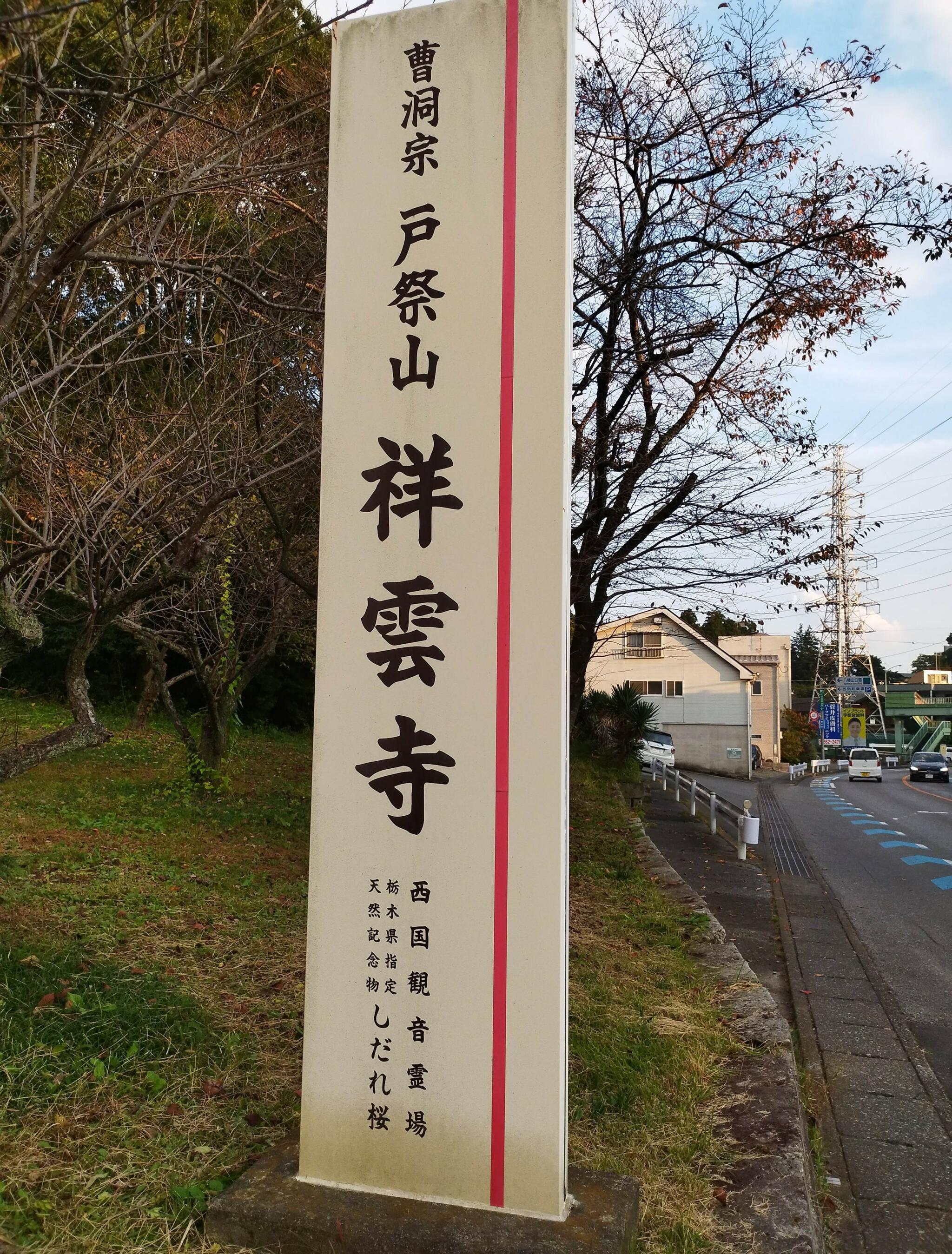 祥雲寺のしだれ桜の代表写真3
