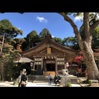 宝満宮 竈門神社の写真9