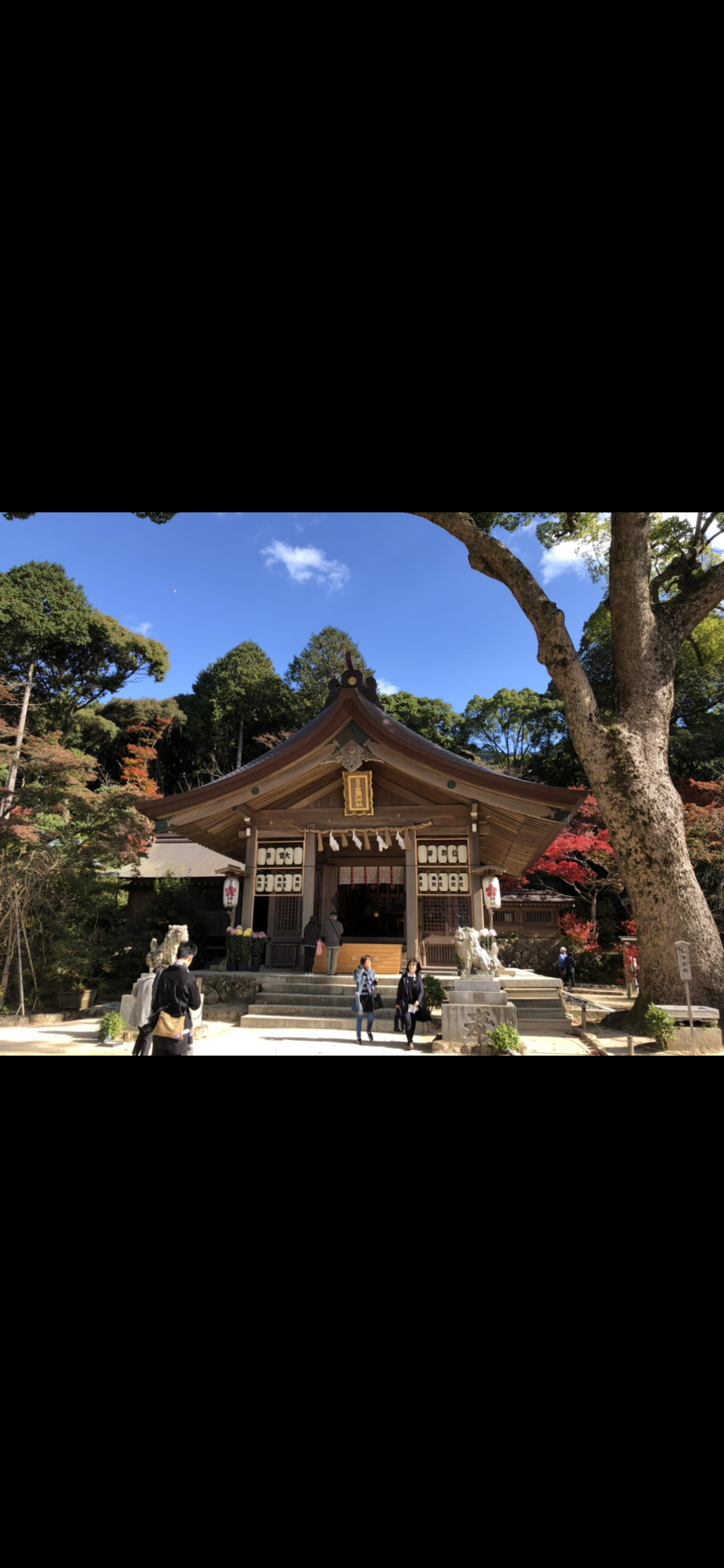 宝満宮 竈門神社の代表写真9