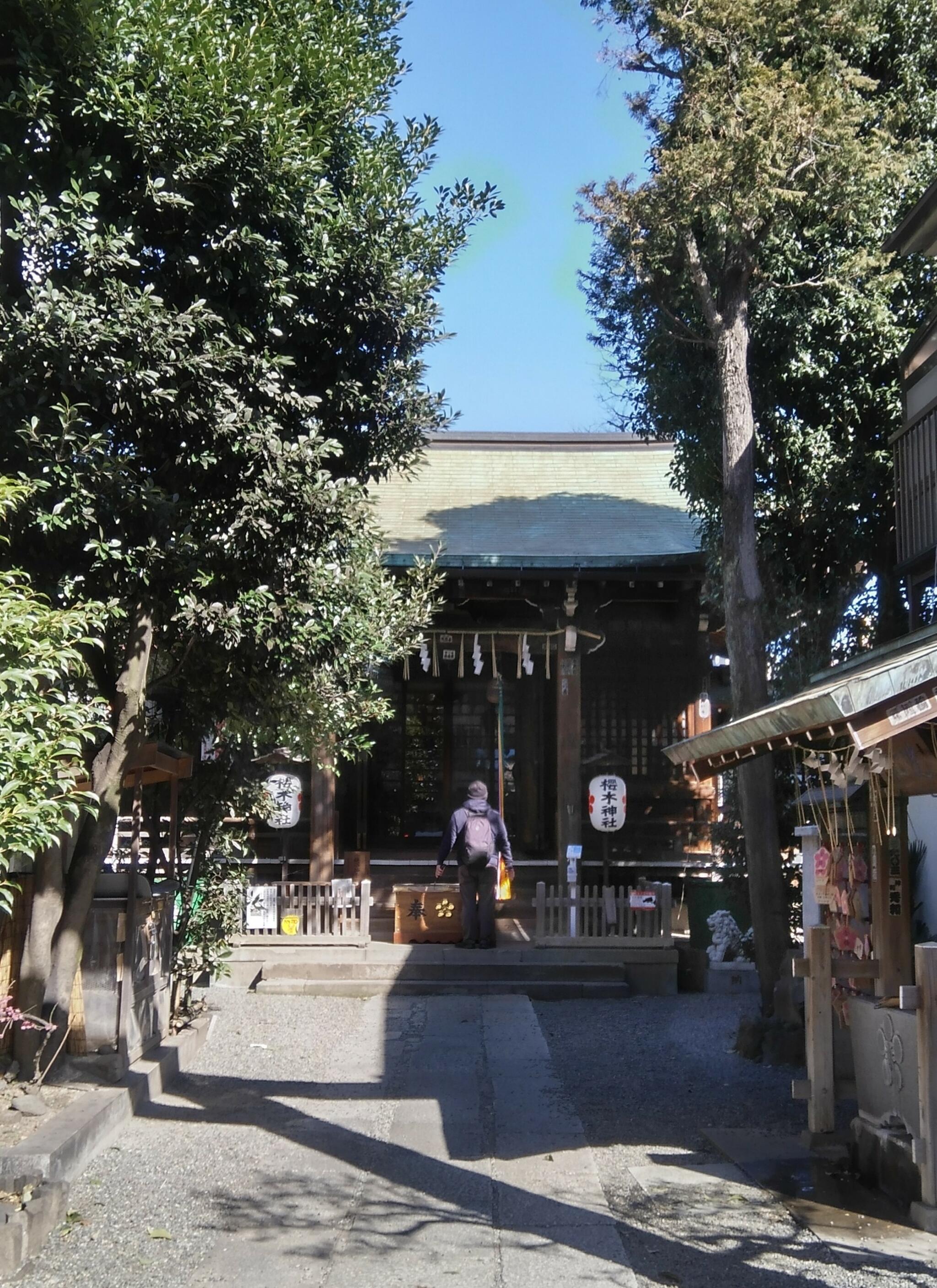 桜木神社の代表写真4