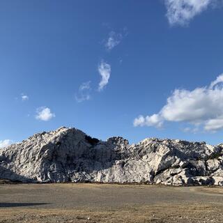 道の駅 白崎海洋公園パークセンター(関西広域連合域内直売所)の写真8