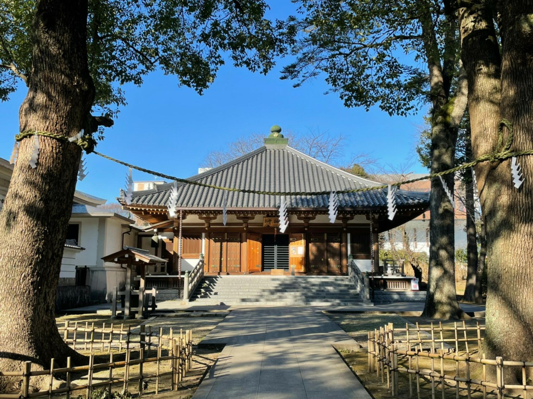 真間山 弘法寺の代表写真1
