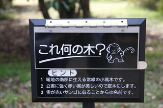 和光樹林公園のクチコミ写真1